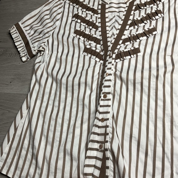 Zara‎ Blouse Women's Large Brown Striped V-neck Short Sleeve Button Up Blouse - Picture 3 of 8